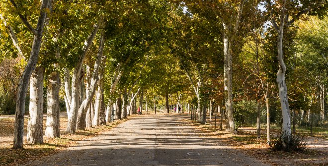 Casa de Campo Park